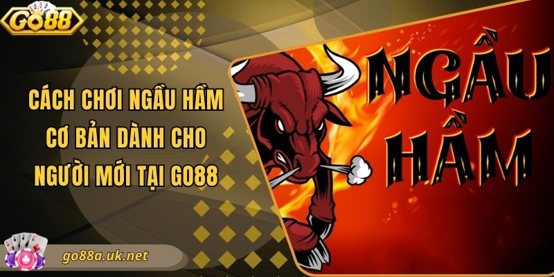 Cách Chơi Ngầu Hầm Cơ Bản Dành Cho Người Mới Tại Go88