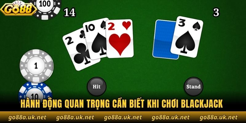 Hành động quan trọng cần biết khi chơi Blackjack 