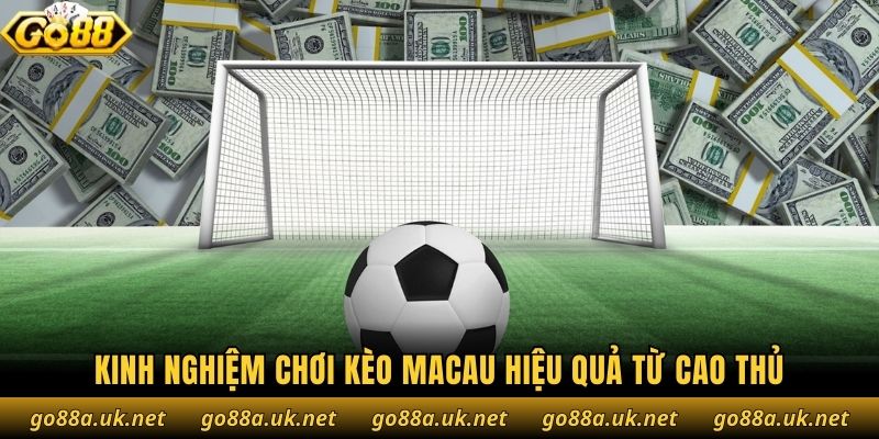 Kinh nghiệm chơi kèo Macau hiệu quả từ cao thủ