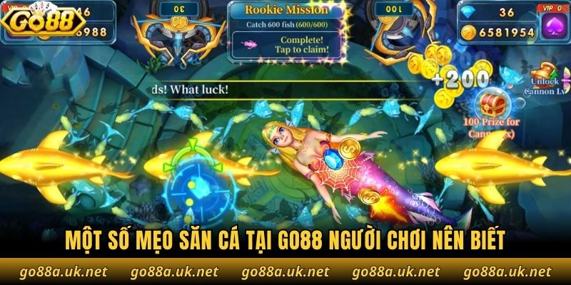 Một số mẹo săn cá tại Go88 người chơi nên biết