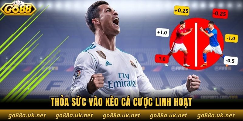 Thỏa sức vào kèo cá cược linh hoạt