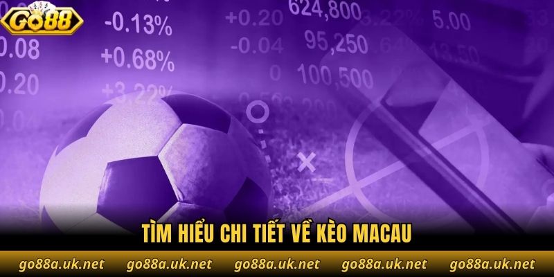 Tìm hiểu chi tiết về kèo Macau