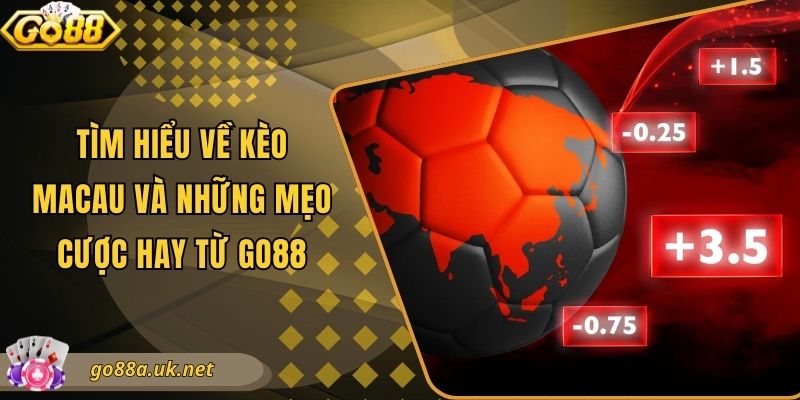 Tìm Hiểu Về Kèo Macau Và Những Mẹo Cược Hay Từ Go88