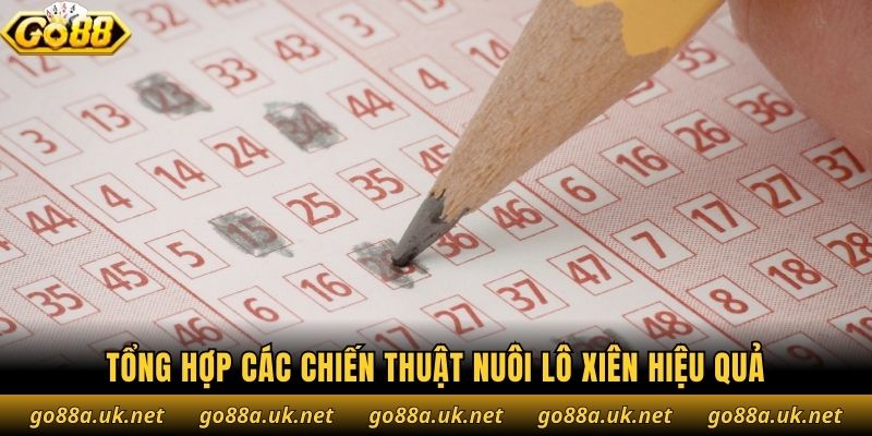 Tổng hợp các chiến thuật nuôi lô xiên hiệu quả